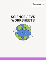 science nature study worksheets for kids
